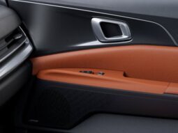 
										Kia Carnival Hybrid full									