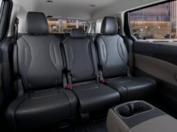 
										Kia Carnival Hybrid full									