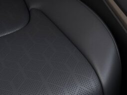 
										Kia Carnival Hybrid full									