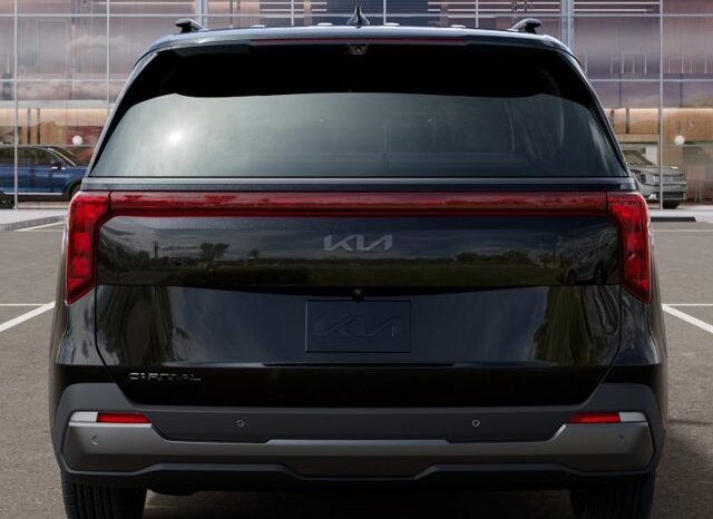 
								Kia Carnival full									