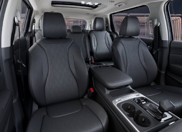 
								Kia Carnival full									