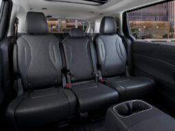 
										Kia Carnival full									