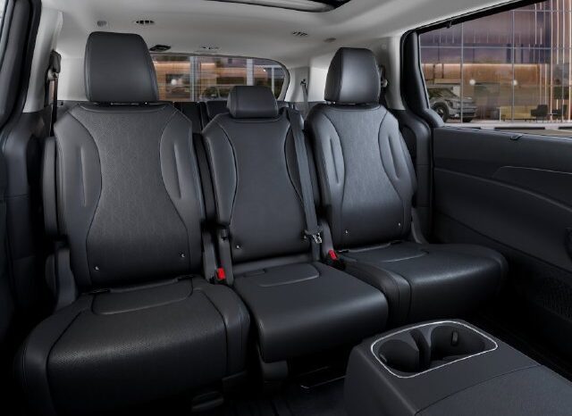 
								Kia Carnival full									