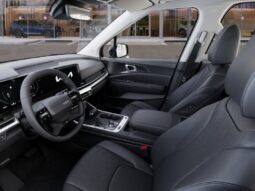 
										Kia Carnival full									