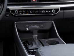 
										Kia Carnival full									