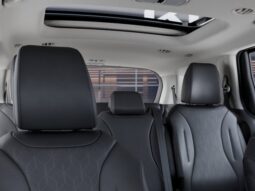 
										Kia Carnival full									