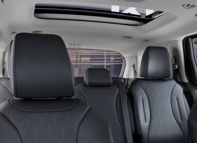 
								Kia Carnival full									