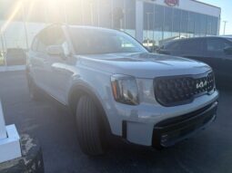 
 Kia Telluride full									
