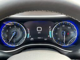 
										Chrysler Pacifica full									