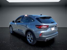 
										Ford Escape full									