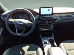 
										Ford Escape full									