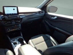 
										Ford Escape full									