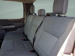 
										Ford F-150 full									