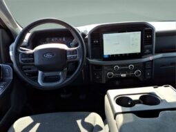 
										Ford F-150 full									