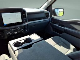 
										Ford F-150 full									