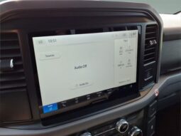 
										Ford F-150 full									