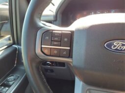 
										Ford F-150 full									