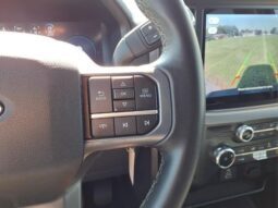 
										Ford F-150 full									