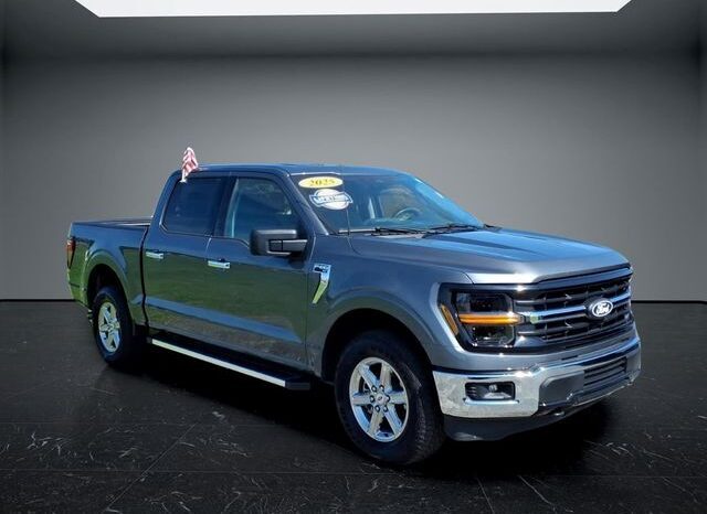 
								Ford F-150 full									