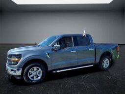 
										Ford F-150 full									