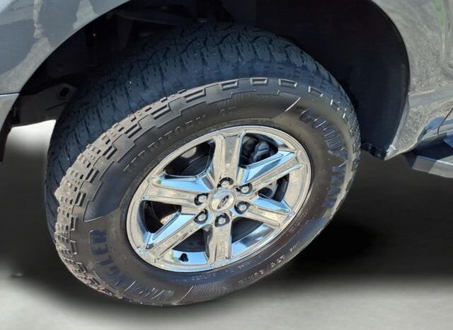 
								Ford F-150 full									