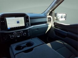 
										Ford F-150 full									