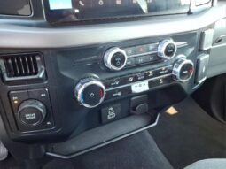 
										Ford F-150 full									