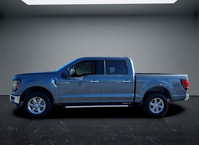 
								Ford F-150 full									