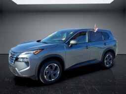 
 Nissan Rogue full									