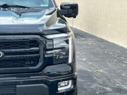 
										Ford F-150 full									