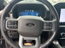 
 Ford F-150 full									