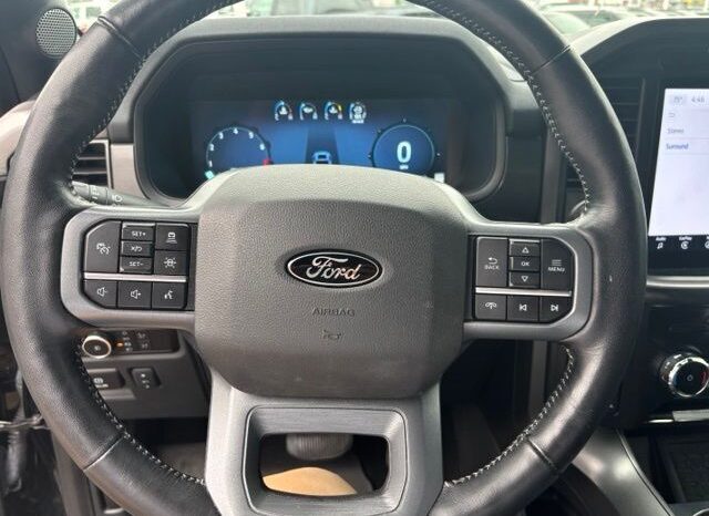 
 Ford F-150 full									