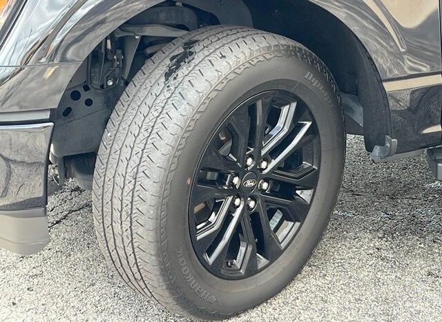 
								Ford F-150 full									