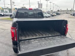 
 Ford F-150 full									