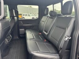 
 Ford F-150 full									