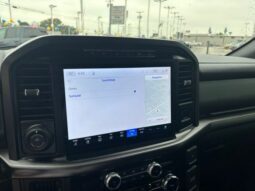 
 Ford F-150 full									