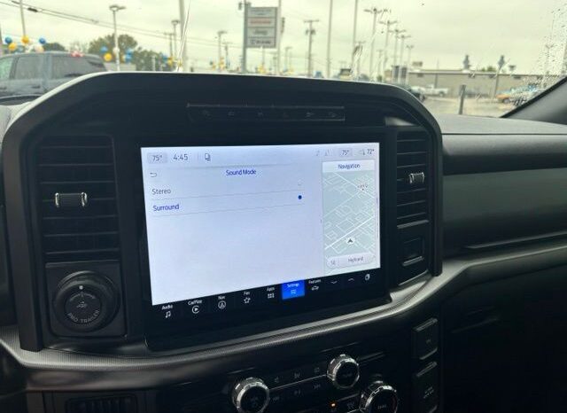 
 Ford F-150 full									