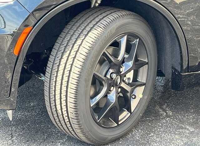 
 Dodge Durango full									