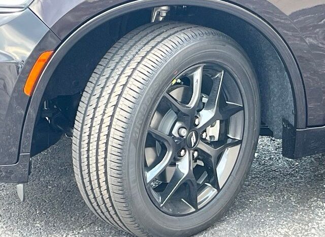 
 Dodge Durango full									