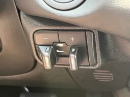 Dodge Durango full