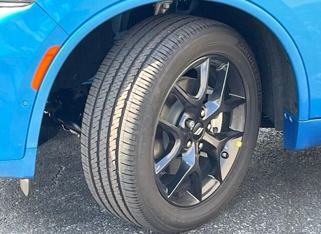 
								Dodge Durango full									