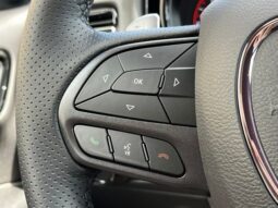 
										Dodge Durango full									