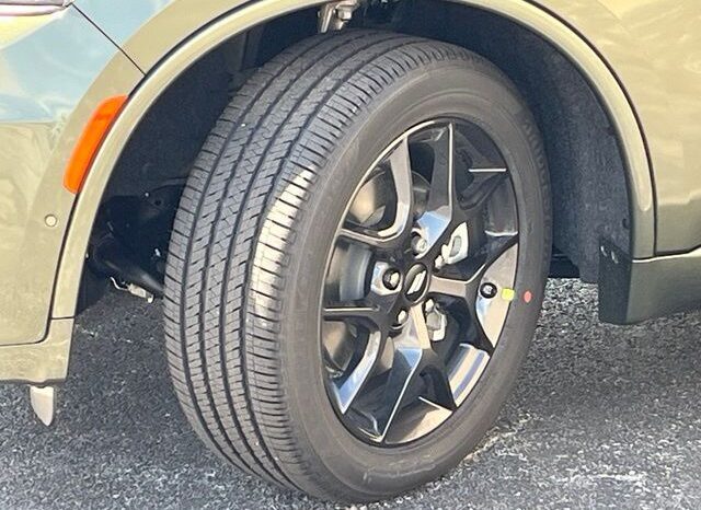 
								Dodge Durango full									