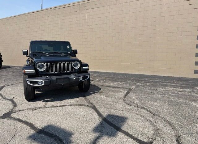 
 Jeep Wrangler full									