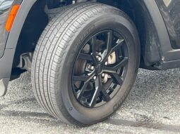 
 Jeep Grand Cherokee full									