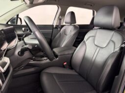 
										Kia Sorento full									