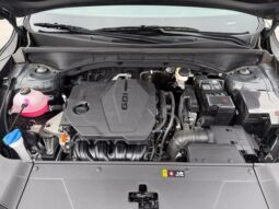 
										Kia Sorento full									