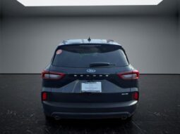 
										Ford Escape full									