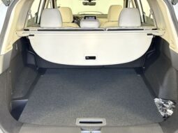 
										Nissan Rogue full									