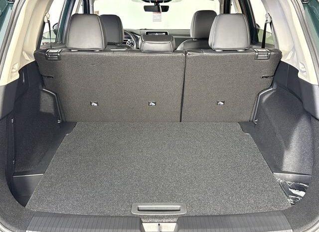 
 Nissan Rogue full									